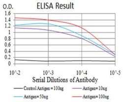 AOF1 Antibody (5E10C1) - BSA Free, Novus Biologicals:Antibodies:Primary