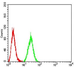 AOF1 Antibody (5E10C1) - BSA Free, Novus Biologicals:Antibodies:Primary