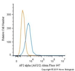 AP2 alpha Antibody (A6/2/2) - BSA Free, Novus Biologicals 0.1mg; Unlabeled:Antibodies,