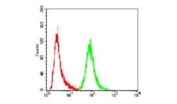 Annexin V Antibody (3B9F3) - BSA Free, Novus Biologicals 0.1mg; Unlabeled:Antibodies,