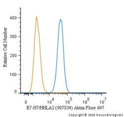 B7-H7/HHLA2 Antibody (907834) - Azide and BSA Free, R D Systems 25 &mu;g | Buy Online | Novus Biologicals | Fisher Scientific