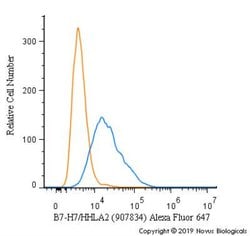 B7-H7/HHLA2 Antibody (907834) - Azide and BSA Free, R D Systems 25 &mu;g | Buy Online | Novus Biologicals | Fisher Scientific