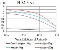 CCR3 Antibody (8E9H10) - BSA Free, Novus Biologicals 0.1 ml; Unconjugated:Antibodies,