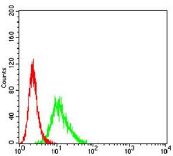 CCR3 Antibody (8E9H10) - BSA Free, Novus Biologicals 0.1 ml; Unconjugated:Antibodies,
