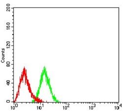 CCR7 Antibody (4B7B8) - BSA Free, Novus Biologicals 0.1 ml; Unconjugated:Antibodies,