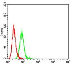 CCR7 Antibody (4B7B8) - BSA Free, Novus Biologicals 0.1 ml; Unconjugated:Antibodies,