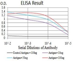 CD2 Antibody (3D1E3) - BSA Free, Novus Biologicals 0.1 ml; Unconjugated:Antibodies,