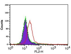 CXCR4 Antibody - BSA Free, Novus Biologicals 0.025mg:Antibodies, Polyclonal