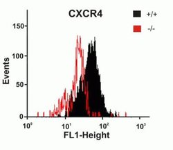 CXCR4 Antibody - BSA Free, Novus Biologicals 0.025mg:Antibodies, Polyclonal