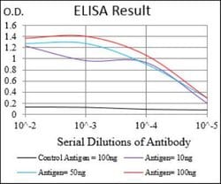 Caveolin-2 Antibody (5E9E2) - BSA Free, Novus Biologicals:Antibodies:Primary