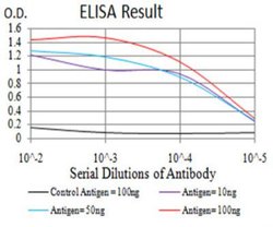 Complement Factor H-related 5/CFHR5 Antibody (3E1E10) - BSA Free, Novus