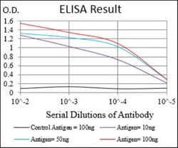 DAPK3/ZIPK Antibody (4H4C8) - BSA Free, Novus Biologicals 0.1mg; Unlabeled:Antibodies,