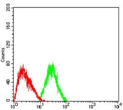 Dnmt3L Antibody (2D10H11) - BSA Free, Novus Biologicals 0.1 ml; Unconjugated:Antibodies,