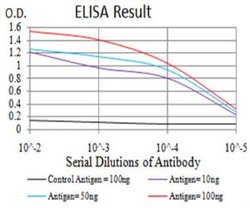 EEN Antibody (2A9H4) - BSA Free, Novus Biologicals:Antibodies:Primary Antibodies