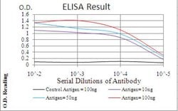 Emerin Antibody (8F5G2) - BSA Free, Novus Biologicals 0.1mg; Unlabeled:Antibodies,
