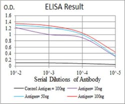 G protein alpha Antibody (7G6G5) - BSA Free, Novus Biologicals:Antibodies:Primary