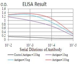 GLI-1 Antibody (1B9F8) - BSA Free, Novus Biologicals 0.1mg; Unlabeled:Antibodies,