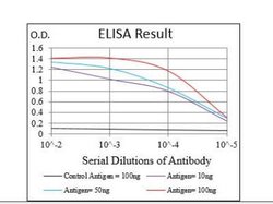 GSK-3 beta Antibody (3D6B4) - BSA Free, Novus Biologicals 0.1mg; Unlabeled:Antibodies,