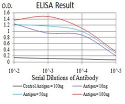 Gemin 3 Antibody (1C9F6) - BSA Free, Novus Biologicals:Antibodies:Primary