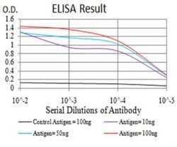 H4/n Antibody (3E7H2) - BSA Free, Novus Biologicals 0.1mg; Unlabeled:Antibodies,