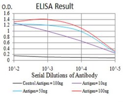 HP1 alpha Antibody (2H4E9) - BSA Free, Novus Biologicals:Antibodies:Primary