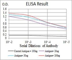 HspB2 Antibody (4B9E2) - BSA Free, Novus Biologicals:Antibodies:Primary