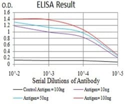 IgA Antibody (7D5F12) - BSA Free, Novus Biologicals 0.1 ml; Unconjugated:Antibodies,