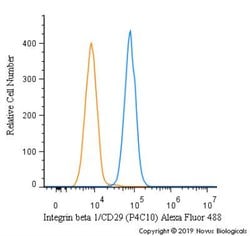Integrin beta 1/CD29 Antibody (P4C10) - BSA Free, Novus Biologicals:Antibodies:Primary