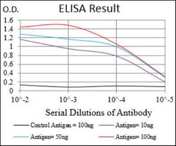 Ku70/XRCC6 Antibody (7A9E7) - BSA Free, Novus Biologicals 0.1mg; Unlabeled:Antibodies,