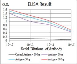 LDLR Antibody (1B10H10) - BSA Free, Novus Biologicals:Antibodies:Primary