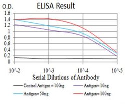 LRP-1 Antibody (1F6C6) - BSA Free, Novus Biologicals 0.025 mg | Buy Online | Novus Biologicals | Fisher Scientific