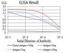 LRP-1 Antibody (3F12E2) - BSA Free, Novus Biologicals:Antibodies:Primary