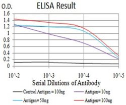 Lysine (K)-specific Demethylase 3A/KDM3A/JMJD1A Antibody (3G10C2) - BSA Free, Novus Biologicals 0.025 mL | Buy Online | Novus Biologicals | Fisher Scientific