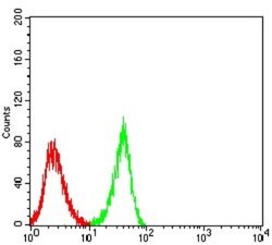 Nicotinic Acetylcholine R alpha 3/CHRNA3 Antibody (6D3A10) - BSA Free,