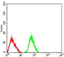 Nicotinic Acetylcholine R alpha 3/CHRNA3 Antibody (6D3A10) - BSA Free,