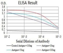P2Y1/P2RY1 Antibody (4G5D6) - BSA Free, Novus Biologicals:Antibodies:Primary