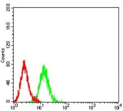P2Y1/P2RY1 Antibody (4G5D6) - BSA Free, Novus Biologicals:Antibodies:Primary