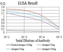 PGRMC1 Antibody (7G11G8) - BSA Free, Novus Biologicals:Antibodies:Primary