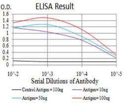 PLC-gamma 1 Antibody (3C2D11) - BSA Free, Novus Biologicals:Antibodies:Primary
