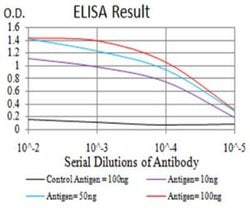 PPAR alpha/NR1C1 Antibody (5D10C3) - BSA Free, Novus Biologicals 0.025