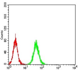 Parvovirus NS1 Antibody (8E6E10) - BSA Free, Novus Biologicals 0.1 ml;