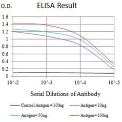 Plexin A1 Antibody (8A10A6) - BSA Free, Novus Biologicals 0.1 mL | Buy Online | Novus Biologicals | Fisher Scientific