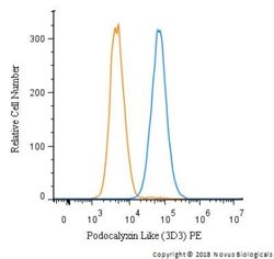 Podocalyxin Like Antibody (3D3), Novus Biologicals:Antibodies:Primary Antibodies