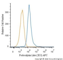 Podocalyxin Like Antibody (3D3), Novus Biologicals:Antibodies:Primary Antibodies