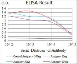 Protein Phosphatase 1 beta Antibody (8A7C7) - BSA Free, Novus Biologicals