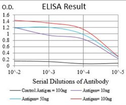RIAM/APBB1IP Antibody (7E7D12) - BSA Free, Novus Biologicals 0.1mg; Unlabeled:Antibodies,