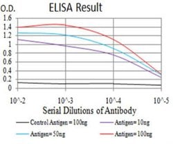 SIRT7 Antibody (1E2B2) - BSA Free, Novus Biologicals 0.1mg; Unlabeled:Antibodies,