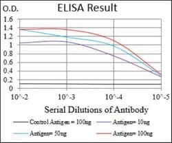 Serpin A3/alpha 1-Antichymotrypsin Antibody (5G3C11) - BSA Free, Novus