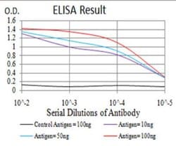 Sirtuin 3/SIRT3 Antibody (6C12D1) - BSA Free, Novus Biologicals 0.025 mg;