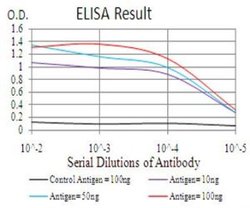 TDP-43/TARDBP Antibody (7F9A6) - BSA Free, Novus Biologicals:Antibodies:Primary